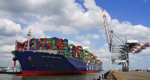Container loading for matcha export logistics, Deep-Water Port in Cai Mep Thi Vai, open for mother shipping