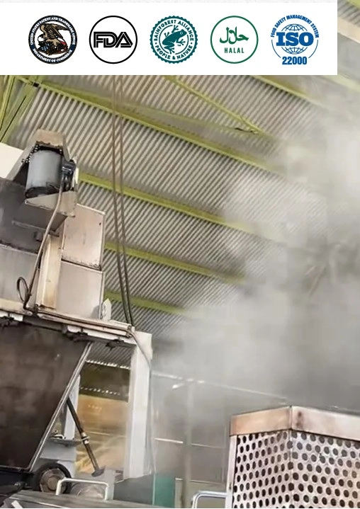 ISO 22000 and FDA certified tea export documentation and compliance
