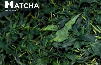 bulk premium grade matcha powder optimized for wholesale